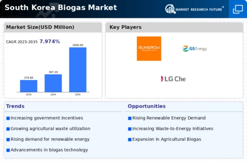 South Korea Biogas Market Infographic