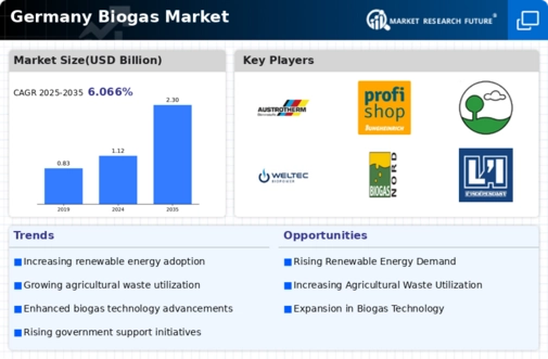 Germany Biogas Market Infographic