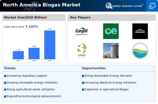North America Biogas Market Infographic