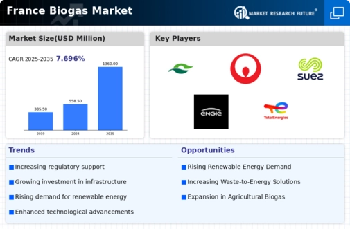 France Biogas Market Infographic