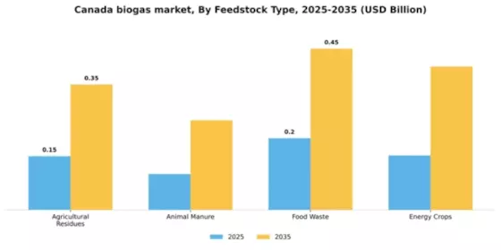 Canada Biogas Market Segment Image 2