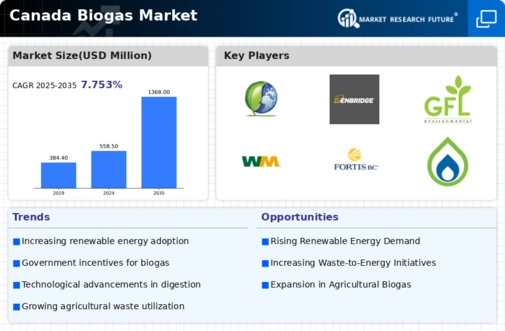 Canada Biogas Market Infographic
