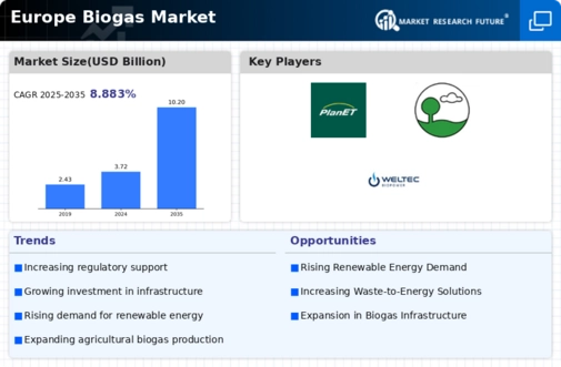 Europe Biogas Market Infographic