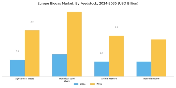 Europe Biogas Market Segment Image 1
