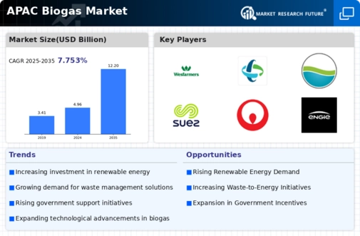 APAC Biogas Market Infographic