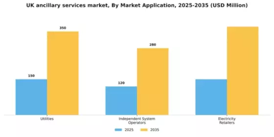 UK Ancillary Services Power Market Segment Image 1