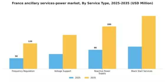 France Ancillary Services Power Market Segment Image 2