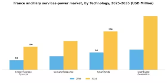 France Ancillary Services Power Market Segment Image 3