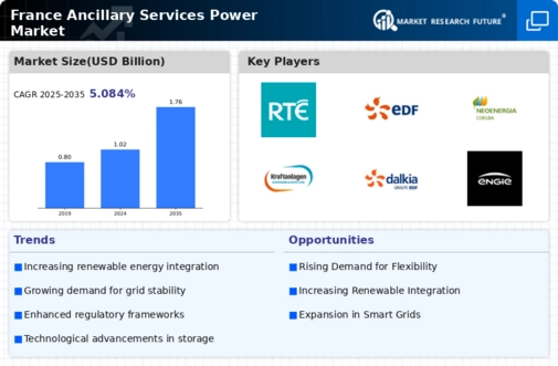 France Ancillary Services Power Market Infographic