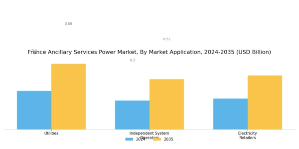 France Ancillary Services Power Market Segment Image 2