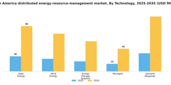 North America Distributed Energy Resource Management Market Segment Image 3