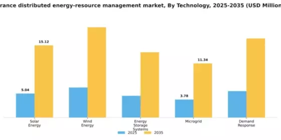 France Distributed Energy Resource Management Market Segment Image 3