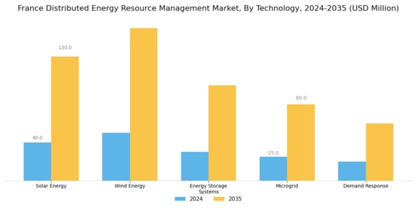 France Distributed Energy Resource Management Market Segment Image 0