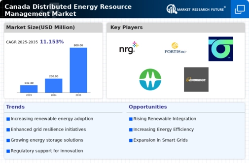 Canada Distributed Energy Resource Management Market Infographic