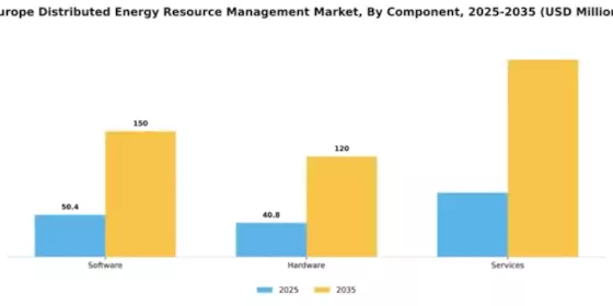 Europe Distributed Energy Resource Management Market Segment Image 1