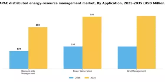 APAC Distributed Energy Resource Management Market Segment Image 0