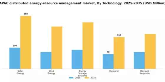 APAC Distributed Energy Resource Management Market Segment Image 3