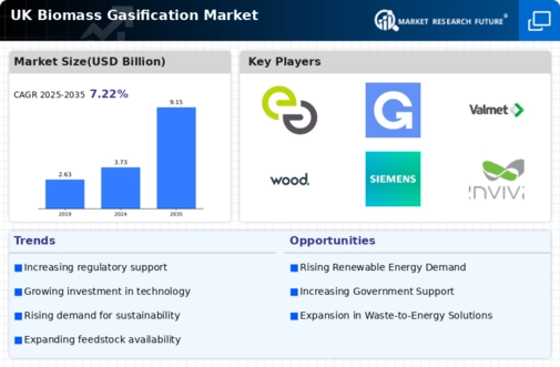 UK Biomass Gasification Market Infographic
