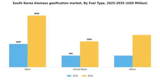 South Korea Biomass Gasification Market Segment Image 1