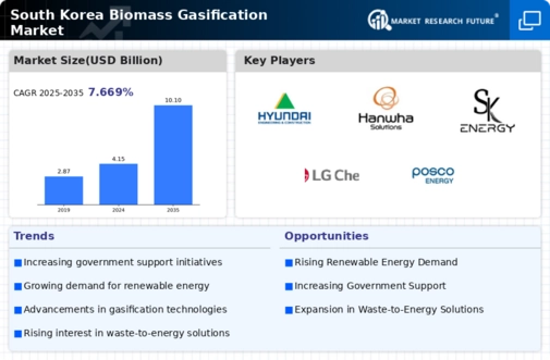 South Korea Biomass Gasification Market Infographic