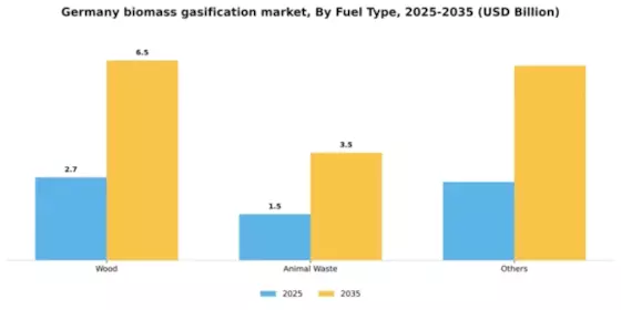 Germany Biomass Gasification Market Segment Image 1