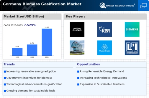 Germany Biomass Gasification Market Infographic
