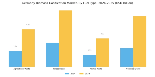 Germany Biomass Gasification Market Segment Image 0