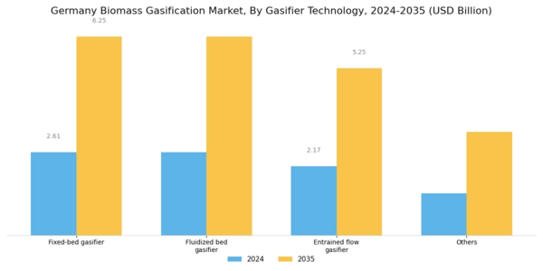 Germany Biomass Gasification Market Segment Image 1