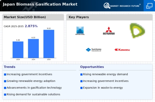 Japan Biomass Gasification Market Infographic