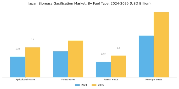 Japan Biomass Gasification Market Segment Image 0