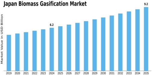 Japan Biomass Gasification Market Size