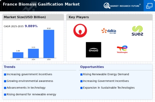 France Biomass Gasification Market Infographic
