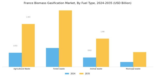 France Biomass Gasification Market Segment Image 0