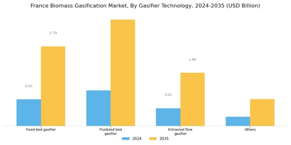 France Biomass Gasification Market Segment Image 1