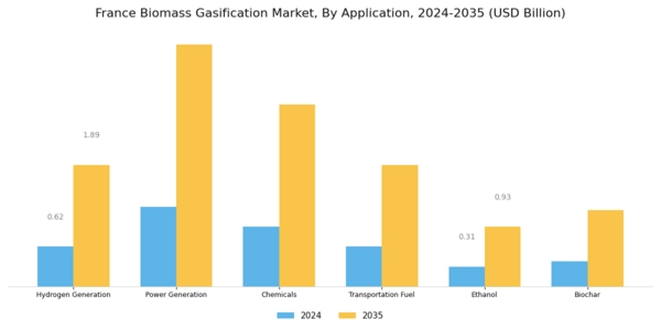France Biomass Gasification Market Segment Image 2