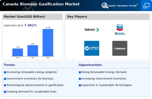 Canada Biomass Gasification Market Infographic