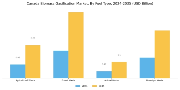 Canada Biomass Gasification Market Segment Image 0