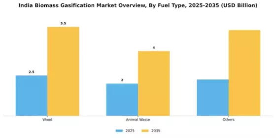 India Biomass Gasification Market Segment Image 1