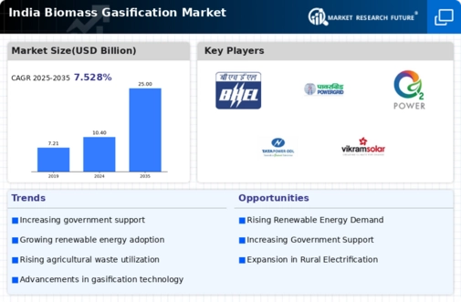 India Biomass Gasification Market Infographic