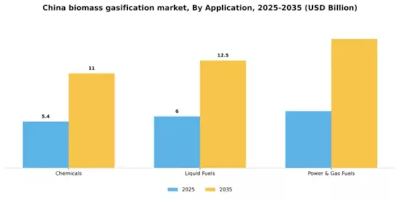 China Biomass Gasification Market Segment Image 0