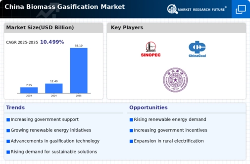 China Biomass Gasification Market Infographic