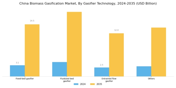 China Biomass Gasification Market Segment Image 1