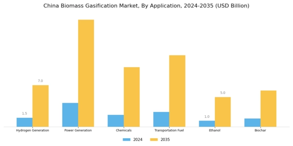 China Biomass Gasification Market Segment Image 2