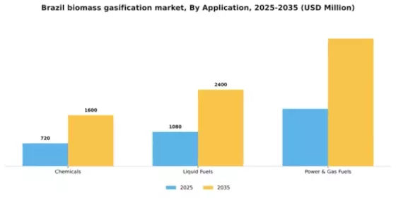 Brazil Biomass Gasification Market Segment Image 0