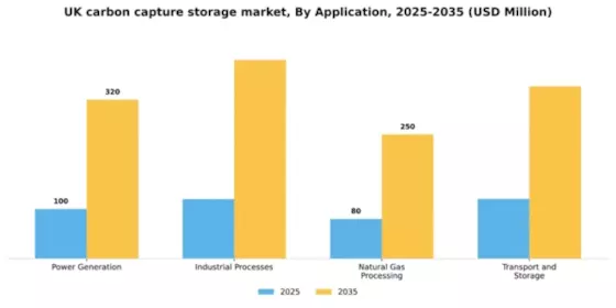 UK Carbon Capture Storage Market Segment Image 0
