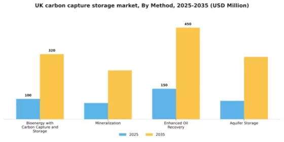 UK Carbon Capture Storage Market Segment Image 2