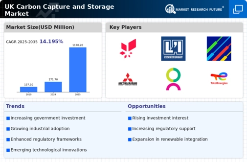 UK Carbon Capture Storage Market Infographic