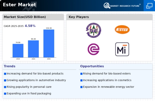Ester Market Infographic
