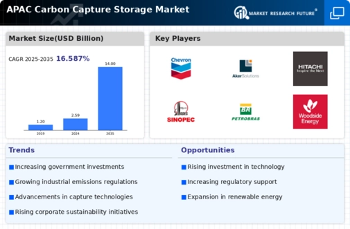 APAC Carbon Capture Storage Market Infographic