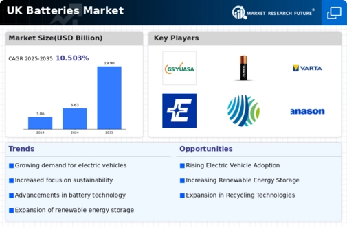UK Batteries Market Infographic
